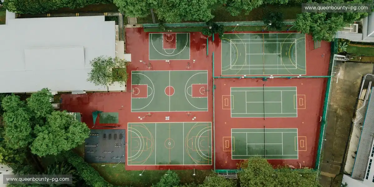 体育内容实现快速交付